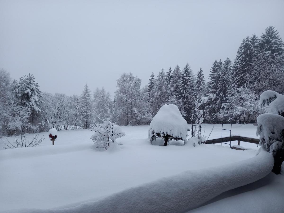Haus Alexander Villa Fresach Bagian luar foto